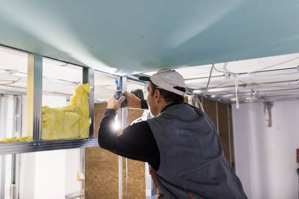 Best Cellulose Insulation  in Parsons, WV