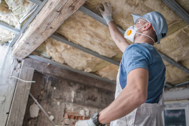 Best Affordable Insulation Services  in Parsons, WV