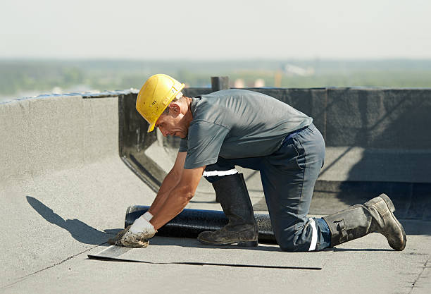 Best Spray Foam Insulation  in Parsons, WV