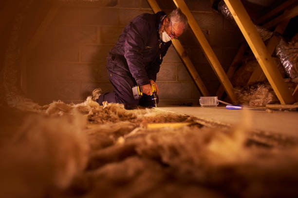 Best Insulation Replacement Services  in Parsons, WV